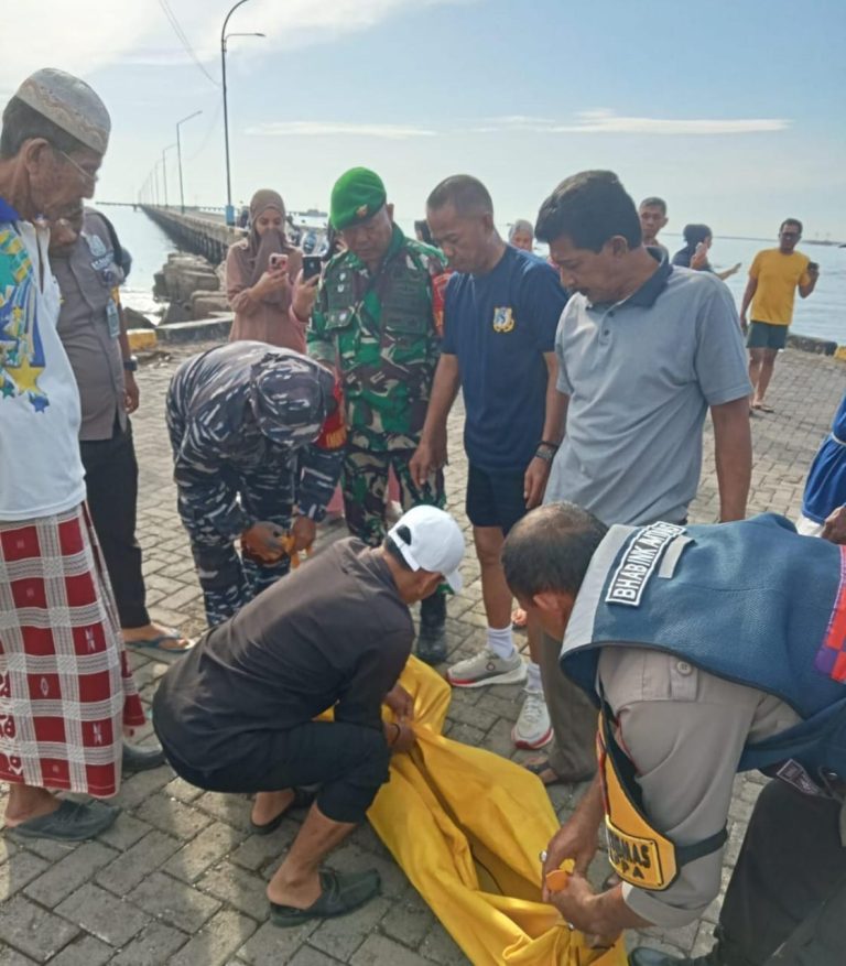 891d8668f7402208f863be112d6a3fd4121cd78f4558c85b6cb178ba1a8e0182.0