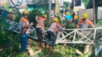 Menara 60 Meter 'Tower' Kominfotik Jeneponto Roboh, Menimpa 2 Rumah Warga