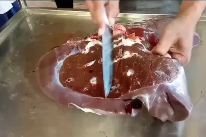 bd4d07eb13f7dfdfab67c90019fc52ed2eb14e46ad6460c7e120f6f71e9893d2.0