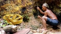 images (20)