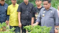 IMG_20240820_195025