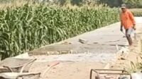 Dugaan Fisik Jalan Rabat Beton Desa Wangkalkepuh Gudo Tak Sesuai Bestek, Begini Tanggapan Publik