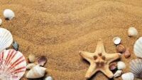 images (23)