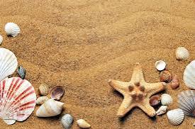images (23)