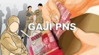 Gaji-PNS