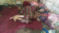 IMG-20241227-WA0099