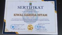 NID:SIZE:1,1 MB