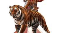 pngtree-big-top-circus-arena-tiger-and-lion-animals-tamer-png-image_12586619 (1)