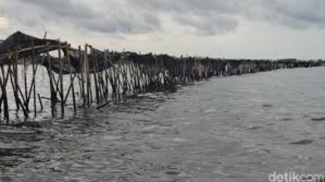 images (19)