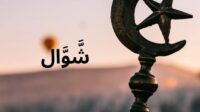 images (26)