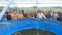 Bupati dan Wakil Bupati Jeneponto Panen Raya Padi Serta Panen Ikan Air Tawar di Desa Bontotiro Rumbia