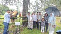 PHBI Catat Total 1.162 Hewan Qurban di Sinjai 13 Ekor Sapi Berasal dari Keluarga Besar Kemenag Sinjai