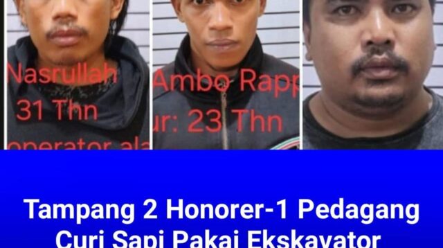 Polsek Manggala Berhasil Tangkap 3 Orang Pencuri Sapi, 2 Tahun Beroperasi Pakai Truk Sampah