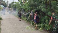 Wujudkan Lingkungan Bersih dan Sehat, Koramil 1423-03/Lilirilau Gelar Karya Bakti di Desa Palangiseng