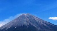 images (18)