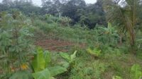 IMG-20250727-WA0170