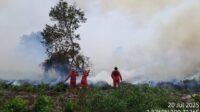 Kapolri : 46 Tersangka Sudah Diamankan, Dalam Kebakaran Hutan dan Lahan di Riau