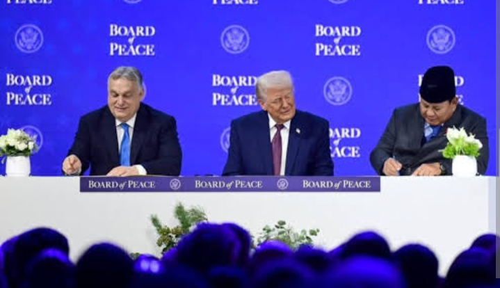 Screenshot_2026_0131_234917