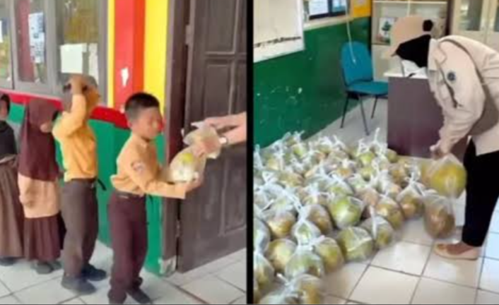 Screenshot_2026_0317_114600